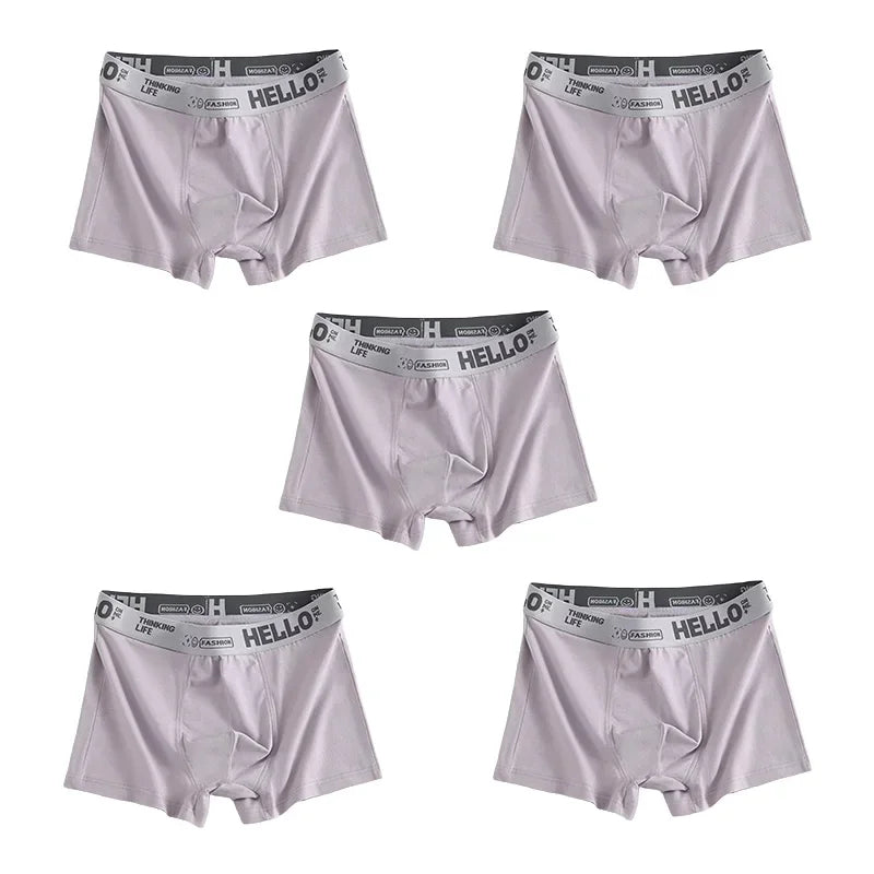 1/5pcs Men's Underwear, Breathable Comfy Quick Drying Stretchy Boxer Trunks, Sexy Underpants, Men's Trendy Boxer Panties