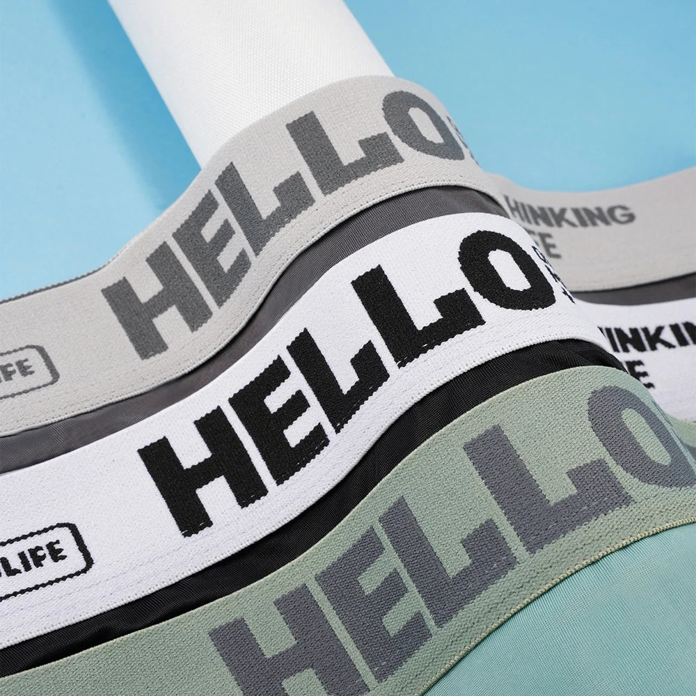 10pcs pack Boxer Shorts Men's Underwear for Men Confortable Underpants Male Slips Panties Fit Soft Sexy Briefs Boxing Slips