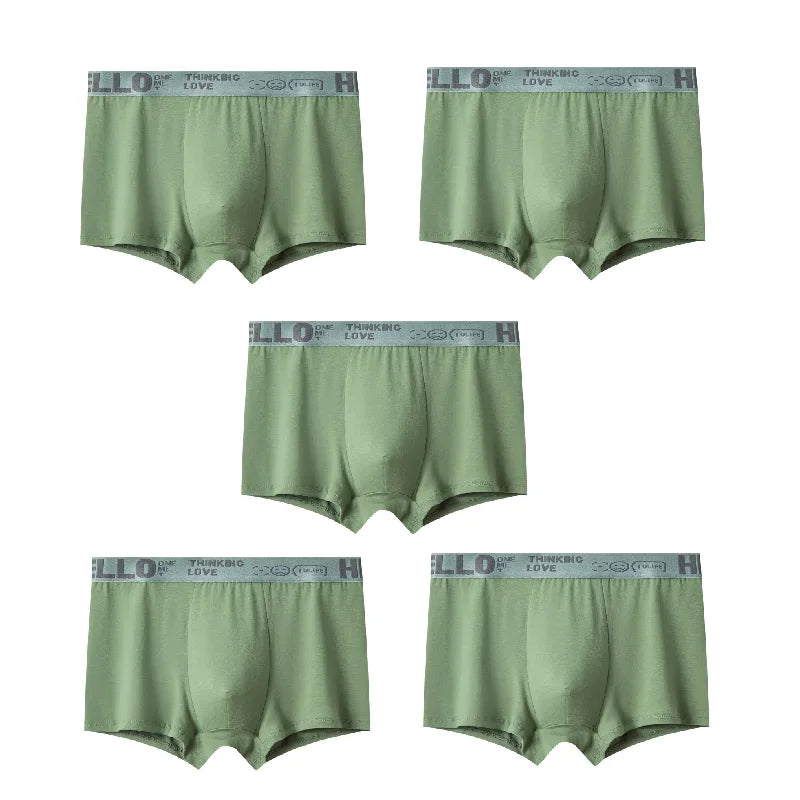 1/5pcs Men's Underwear, Breathable Comfy Quick Drying Stretchy Boxer Trunks, Sexy Underpants, Men's Trendy Boxer Panties