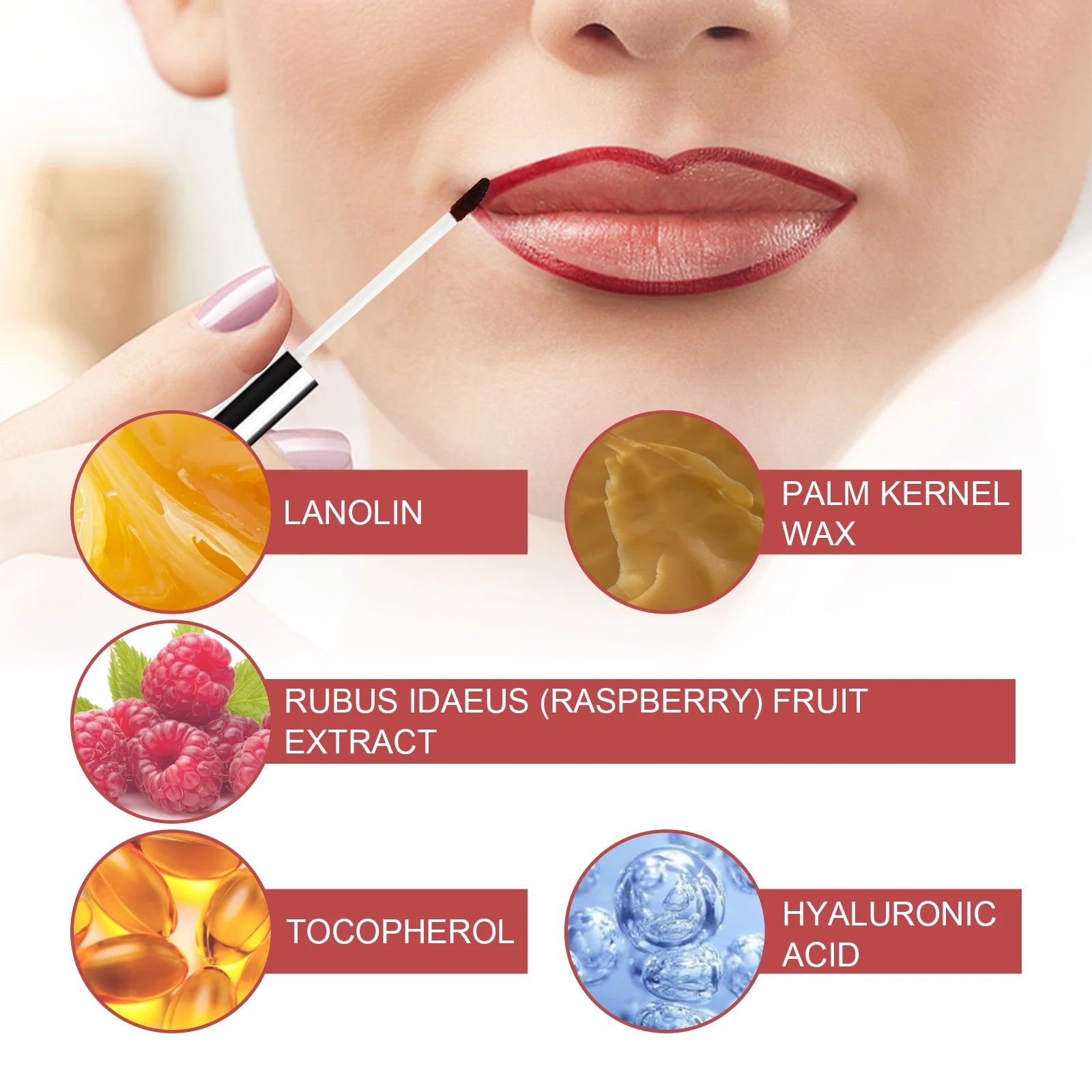 Image displaying EELHOE lip liner application showcasing ingredients: lanolin, palm kernel wax, raspberry extract, tocopherol, hyaluronic acid.