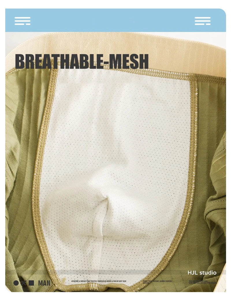 1/3PCS 100% Cotton Solid Striped Men's Boxer Sexy Breathable Mesh U Crotch Underwear High Elastic Widen Waistband Underpants